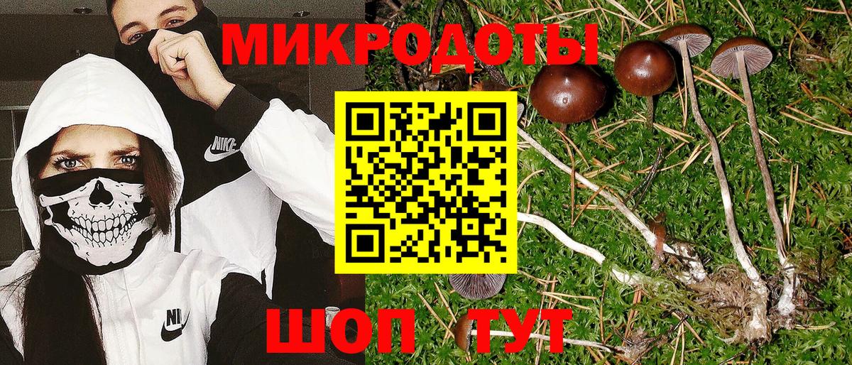 Ростов-на-Дону  Галлюциногенные грибы Magic Shrooms  Галлюциногенные грибы мухоморы  Вход с VPN 